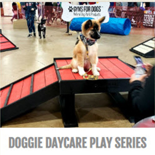 CAD Drawings BIM Models Gyms For Dogs™ Doggie Daycare Play Series